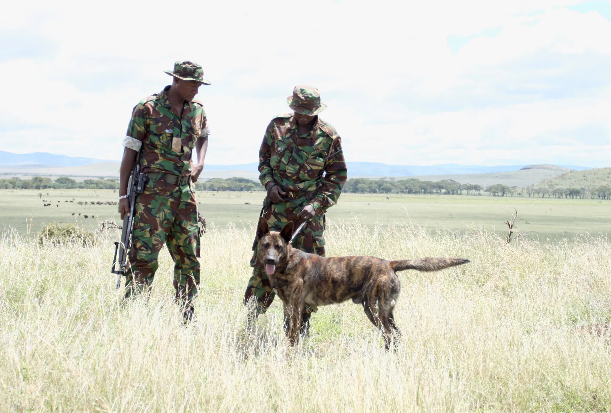 巡护员在草原上执行任务 - 四虎tv | 荒野守护